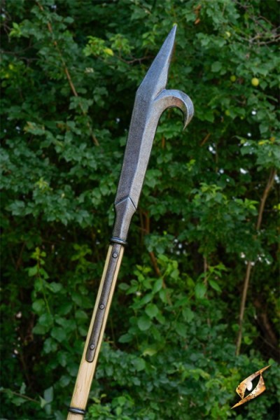 Bill Hook