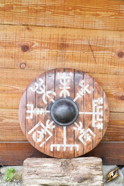Iarla Shield - Vegvisir
